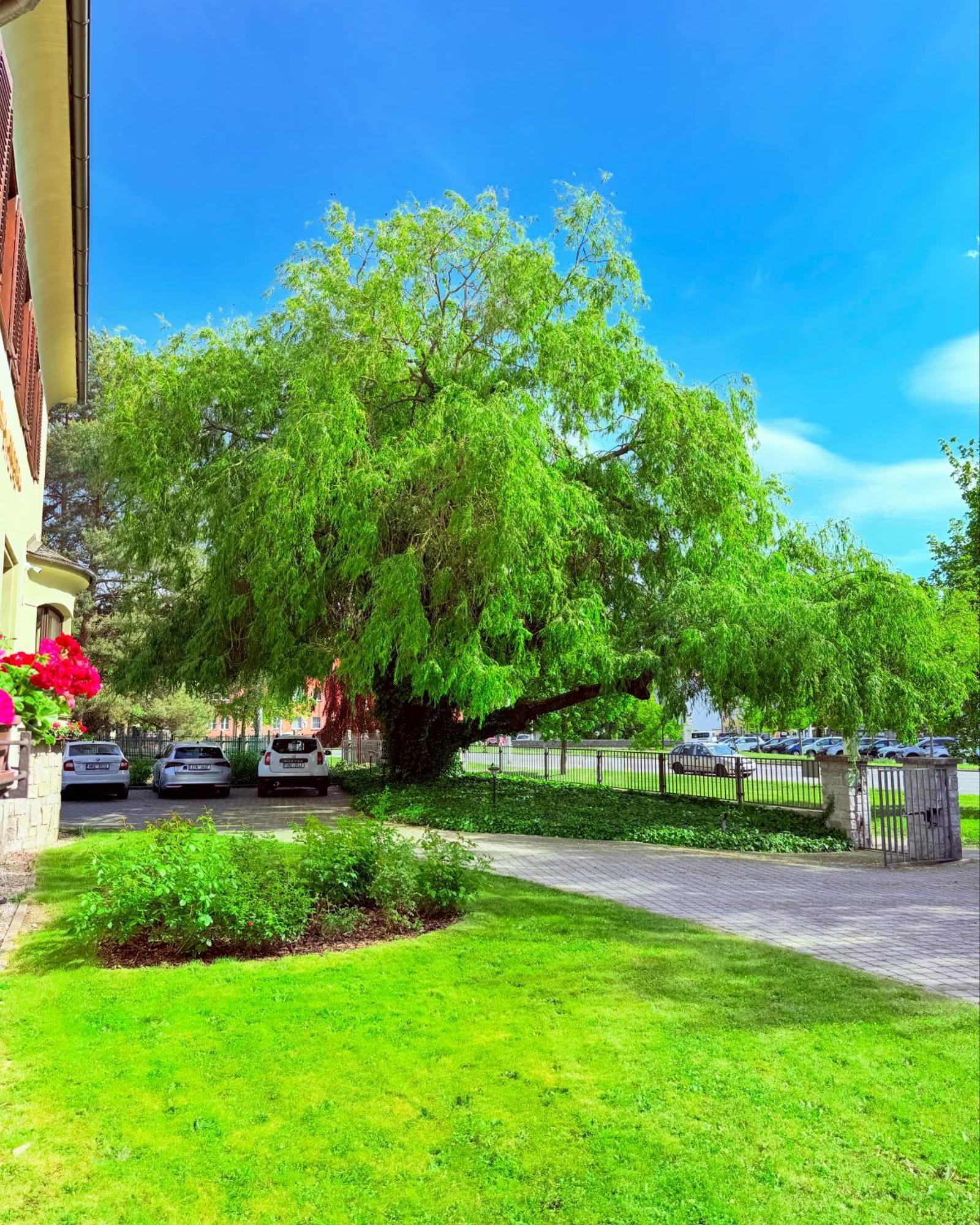 Penzion Villa Ancora Šumperk Εξωτερικό φωτογραφία